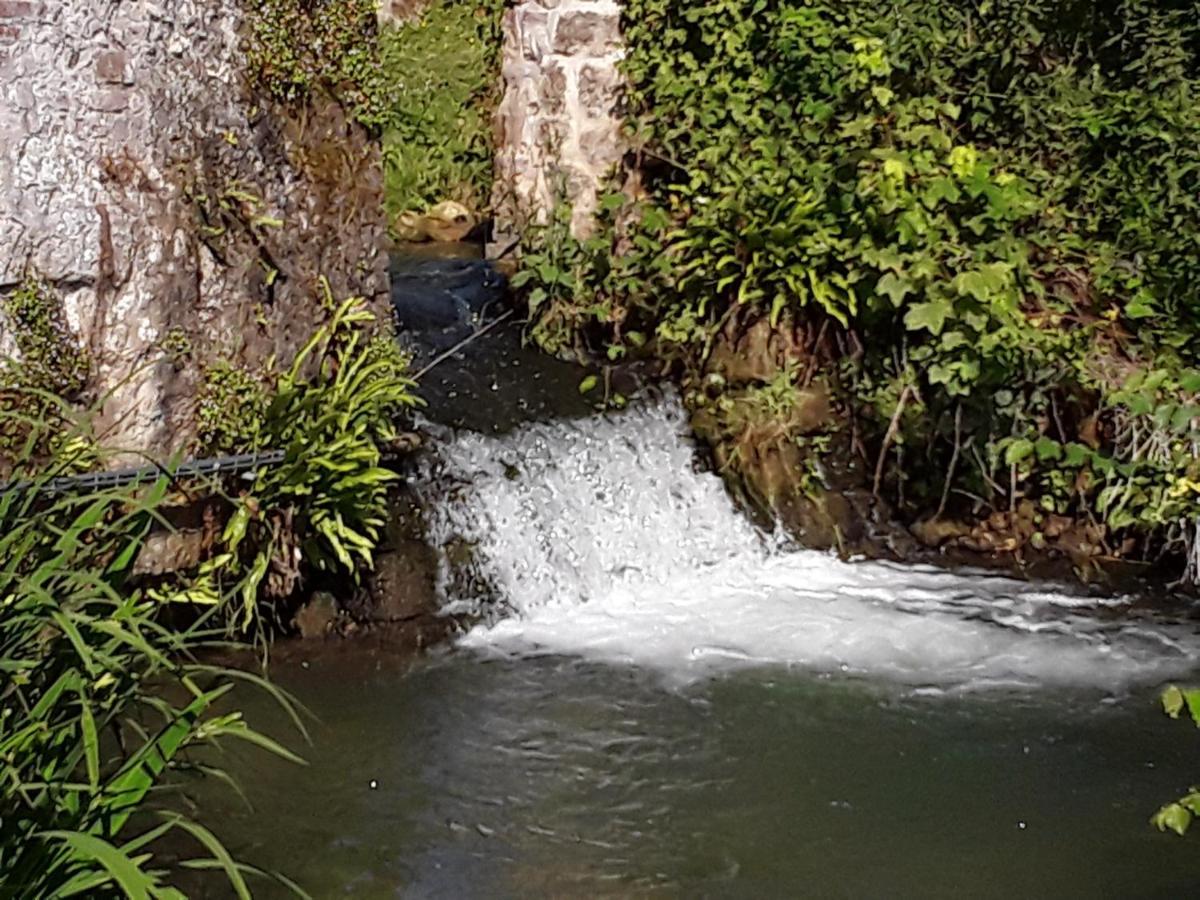 לינה וארוחת בוקר Frencq Au Moulin De Valerie מראה חיצוני תמונה